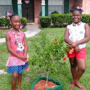 Meet your Posher, Lillian