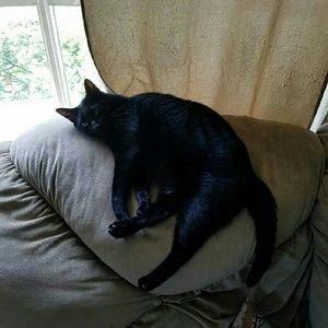 Meet your Posher, Tami