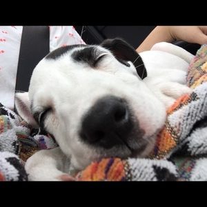 Meet your Posher, Jillian