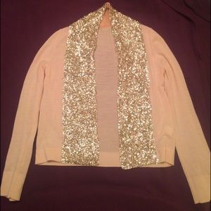 J. Crew Factory Blush Pink Sequin Sweater