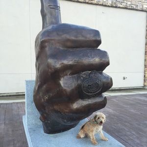 Meet your Posher, Donnell