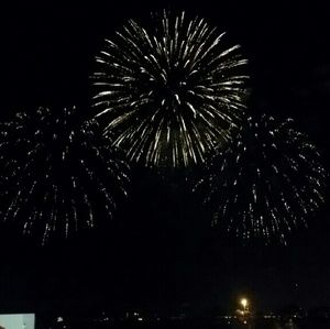 Meet your Posher, Tynisa