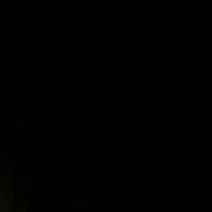 Meet your Posher, Valerie