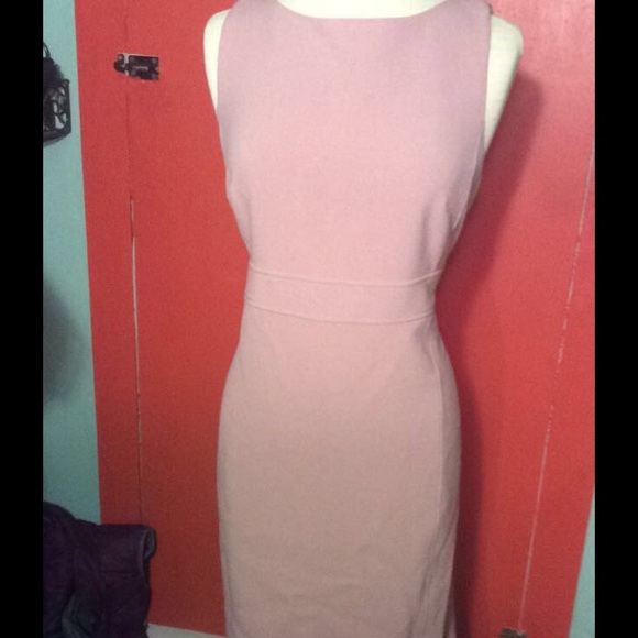 An Taylor Pink Dress