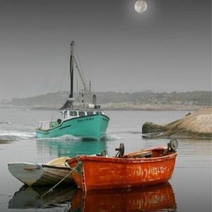 Meet your Posher, Casey