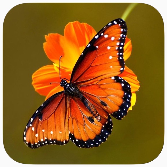 Bundle and save - Picture 2 of 3