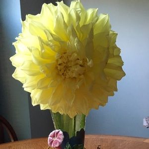 Meet your Posher, Agnes