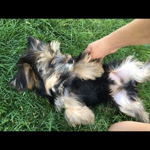 Meet your Posher, Nora