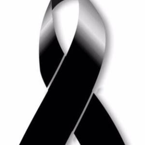 Meet your Posher, Sandy