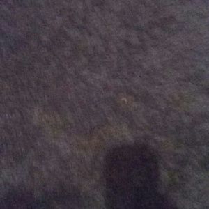 Meet your Posher, Alana