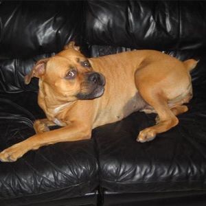 Meet your Posher, Paula