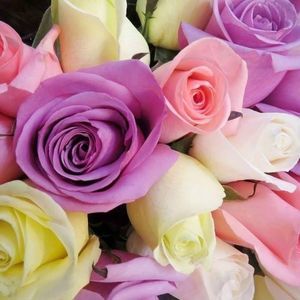 Meet your Posher, Eman