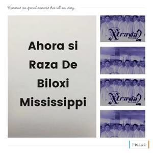 Meet your Posher, Gran levelatino