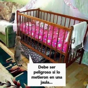 Meet your Posher, Rœšā