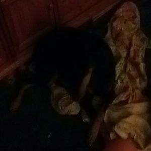 Meet your Posher, Debra