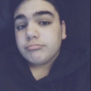 Meet your Posher, Joey