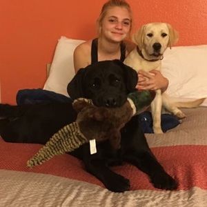 Meet your Posher, Carley