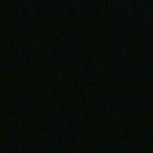 Meet your Posher, Calli