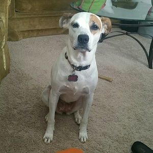 Meet your Posher, Ali