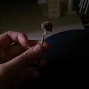 Meet your Posher, Kaylee