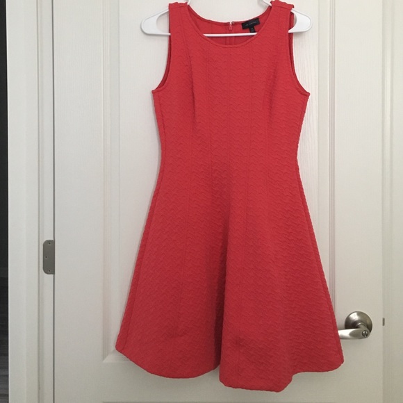 New w/o tags The Limited fit & flare dress size XS