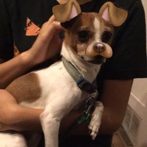 Meet your Posher, Janet