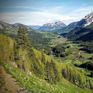 Meet your Posher, Kira