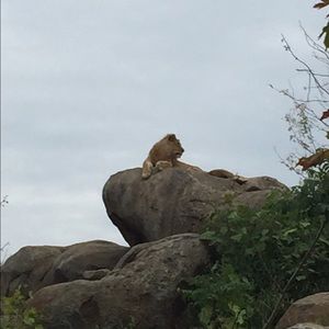 Meet your Posher, Jackie