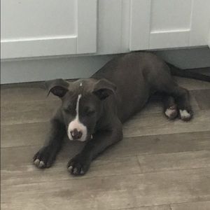 Meet your Posher, Joe