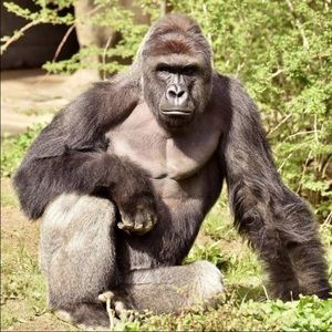 Meet your Posher, Tj