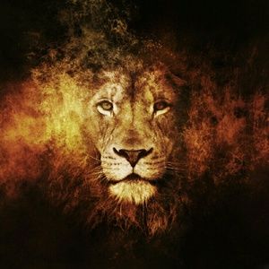 Meet your Posher, Devon