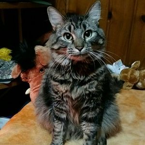 Meet your Posher, Leah