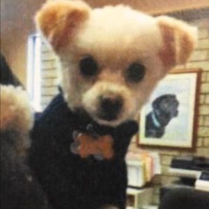 Meet your Posher, Jill