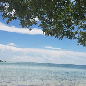 Meet your Posher, Pranvera