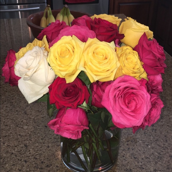 Meet your Posher, Kasey