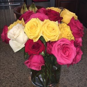 Meet your Posher, Kasey