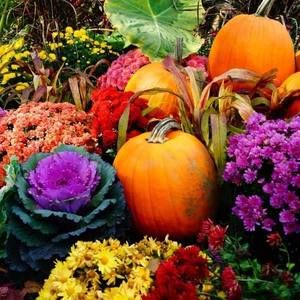 Meet your Posher, Nina