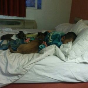 Meet your Posher, Ana