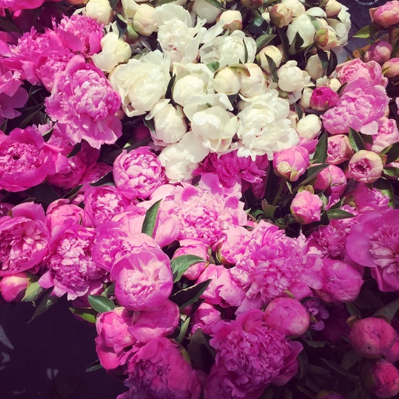 Meet your Posher, Myra - Picture 1 of 1