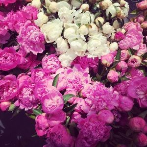 Meet your Posher, Myra