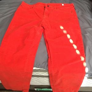 GAP Orange corduroy pants