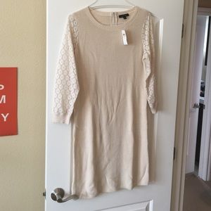 Beautiful NWT Ann Taylor Sweater Dress Large/Tall