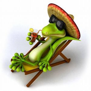 Meet your Posher, Erika