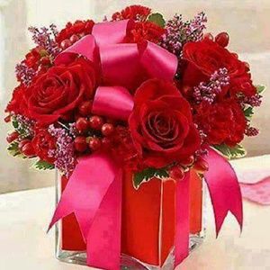 Meet your Posher, Francisco