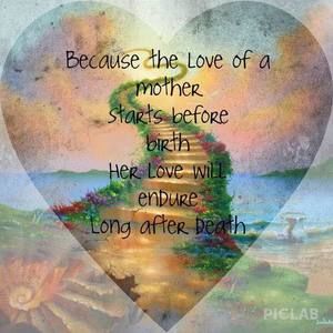 Meet your Posher, Jolonda