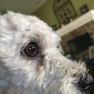 Meet your Posher, Karina