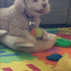 Meet your Posher, Iris