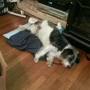 Meet your Posher, Maryann