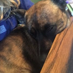 Meet your Posher, Jill
