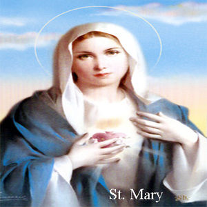 Meet your Posher, Helen